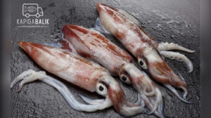 Read more about the article Dondurulmuş Kalamar Izgarada ve Tavada Nasıl Pişirilir?