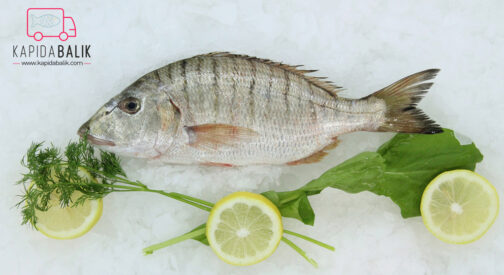 Striped Sea Breasm (Mırmır)