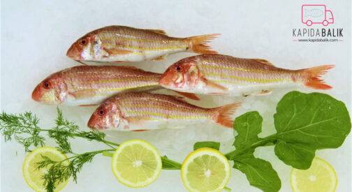 Red Mullet (Large)