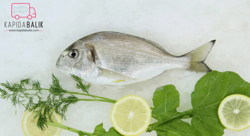 Lidaki (Sea bream)