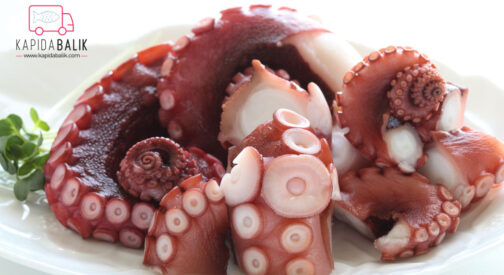 Cooked Octopus Sleeve 3/4 Kg.