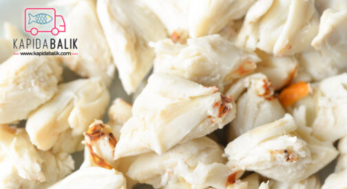 White Crab Meat /KG
