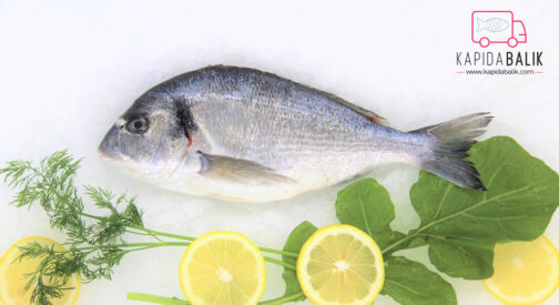 Sea bream 400 – 600gr.