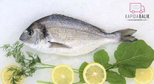 Sea bream 600-800gr.