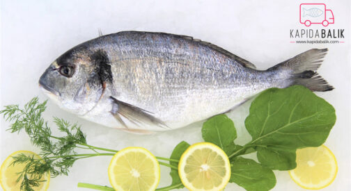 Sea bream 800 – 1000gr.