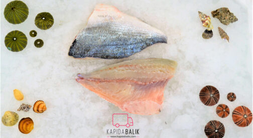 Sea bream (Fillet)