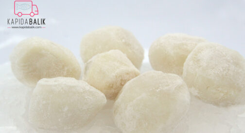 Scallop /KG