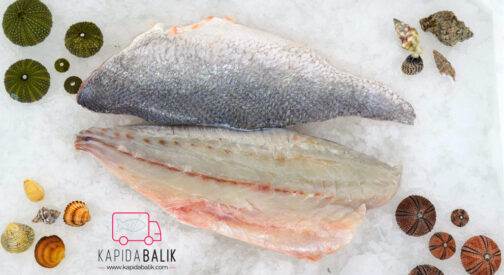 Stone basse (Granyöz) (Fillet)