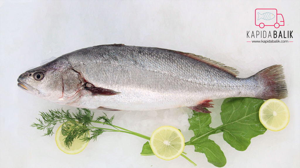 Stone basse (Granyöz) 800 - 1000gr.