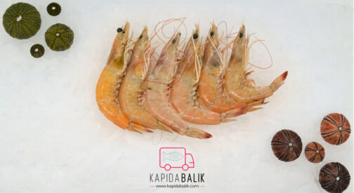 Jumbo Shrimp