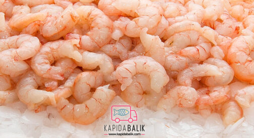 Shrimp meat 100/200/KG