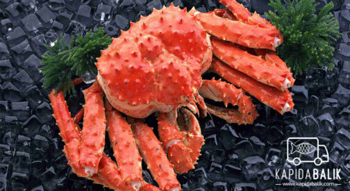 King Crab /KG