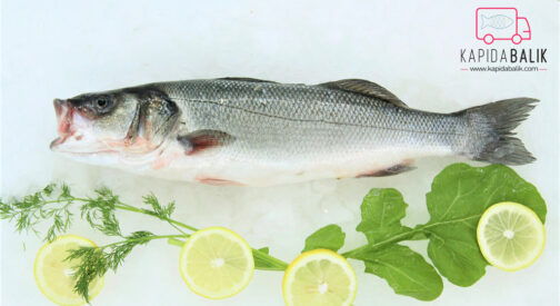 Sea bass 1000 – 1500gr.