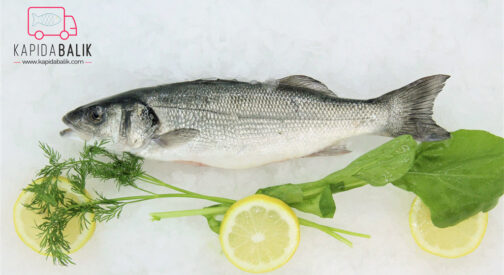 Sea bass  300 – 400gr.