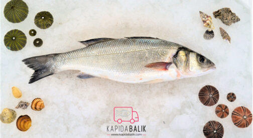 Sea bass  400 – 600gr.