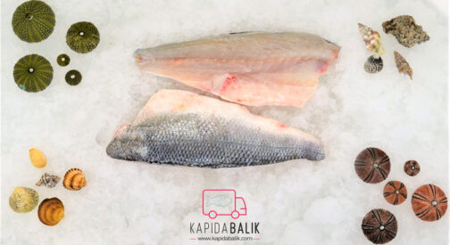 Sea bass  (Fillet) 400 – 600gr.