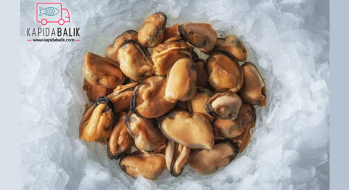 Mussel Meat (180-200 Pieces)/KG
