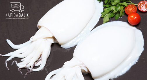 Cuttle Fish (Subye)- Clean /KG