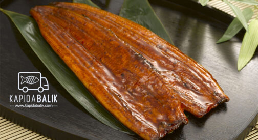 Eel (UNAGİ) /KG